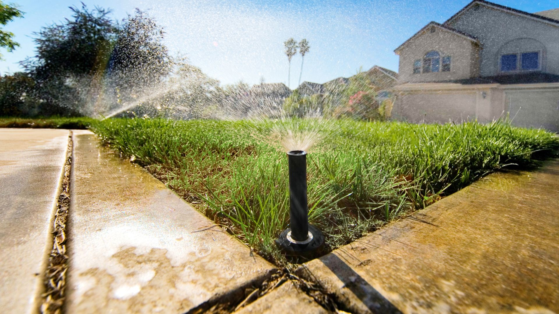 A sprinkler spraying water on a lawn