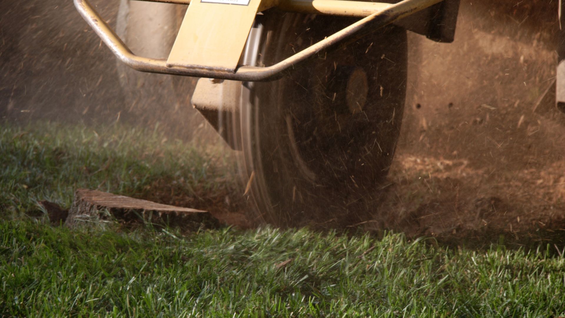 A yellow tractor is driving through the grass