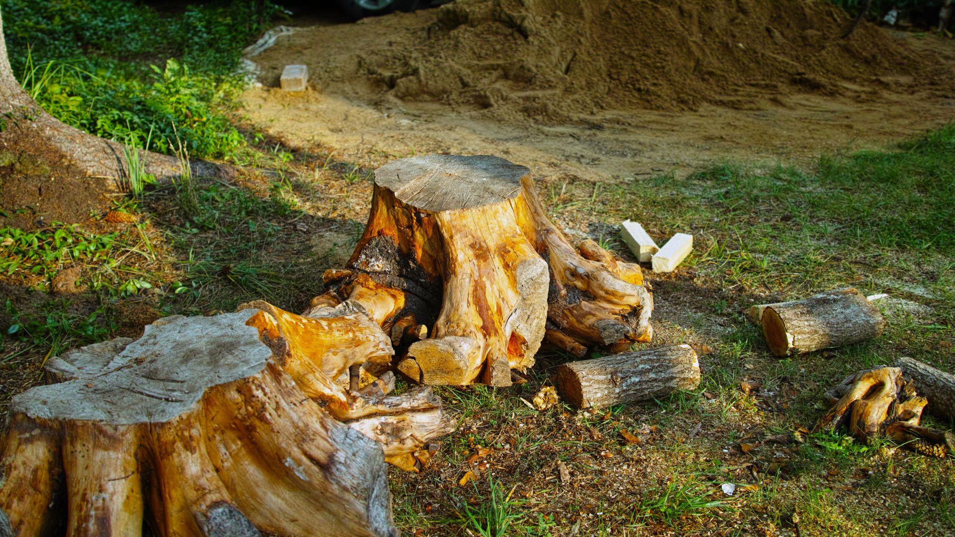 A pile of wood sitting on top of a lush green field