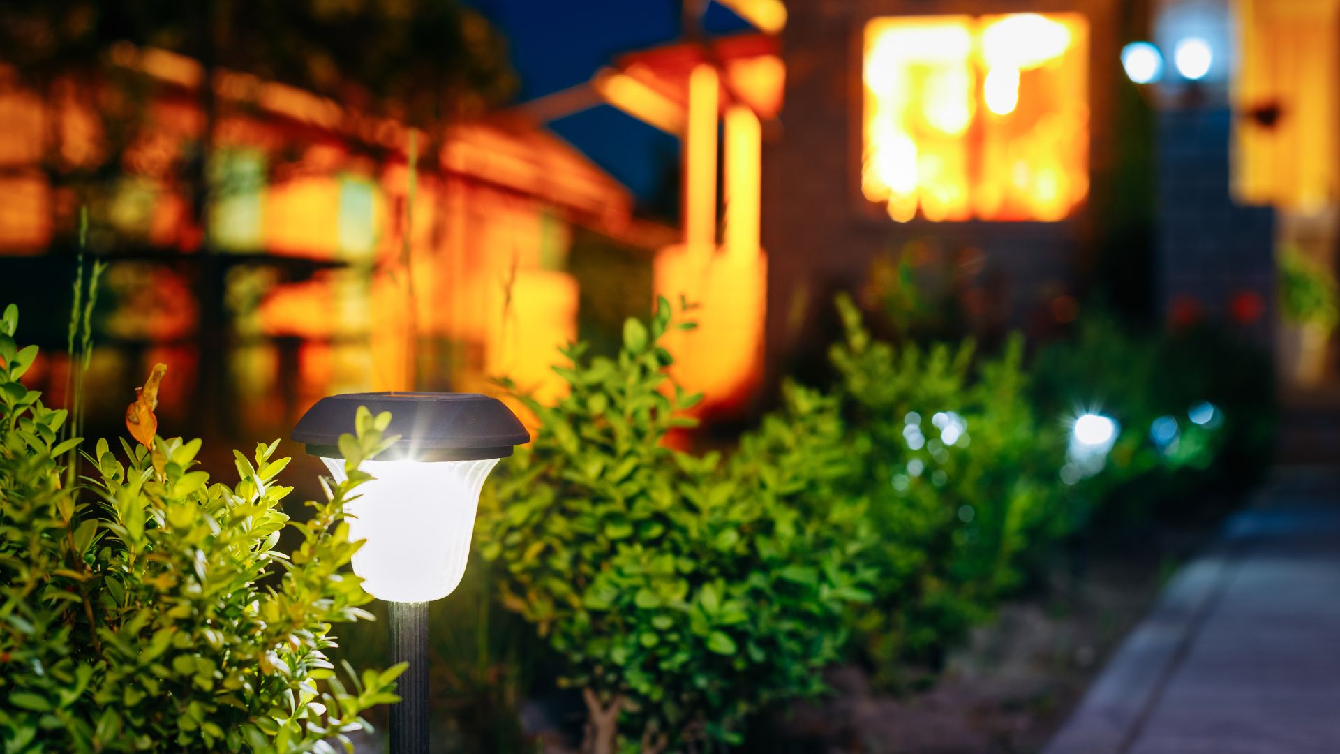 A street light sitting in the middle of some bushes